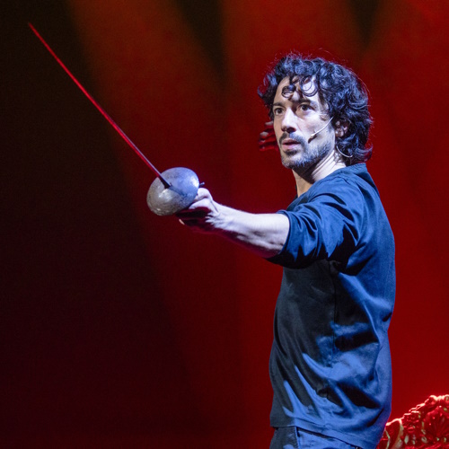 100 Theaterkarten für Hamlet BRG 22 AHS Theodor Kramer